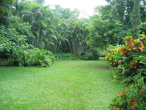 Cranbrook Flower Forest